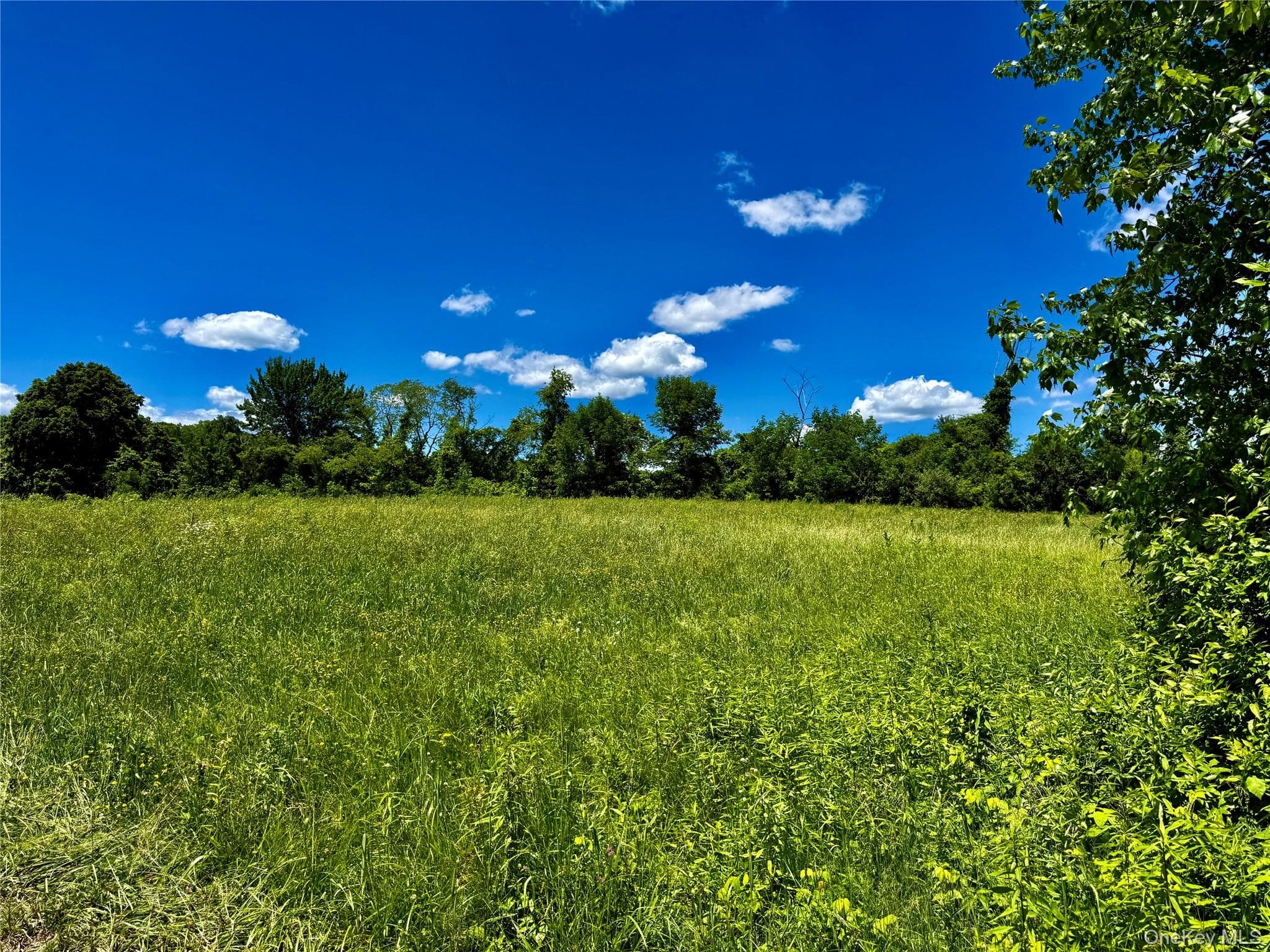 513 Rossway Road thumbnail 14