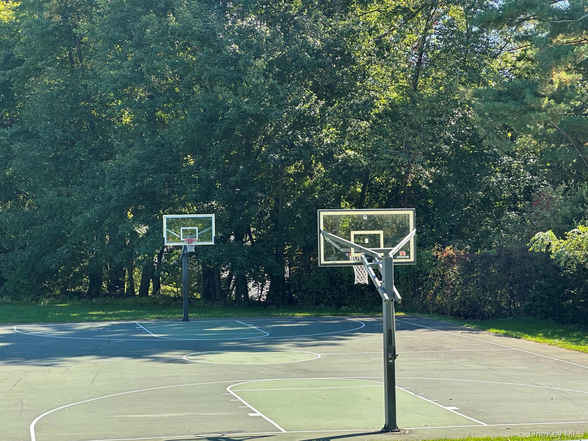 34 Rutland Drive thumbnail 46
