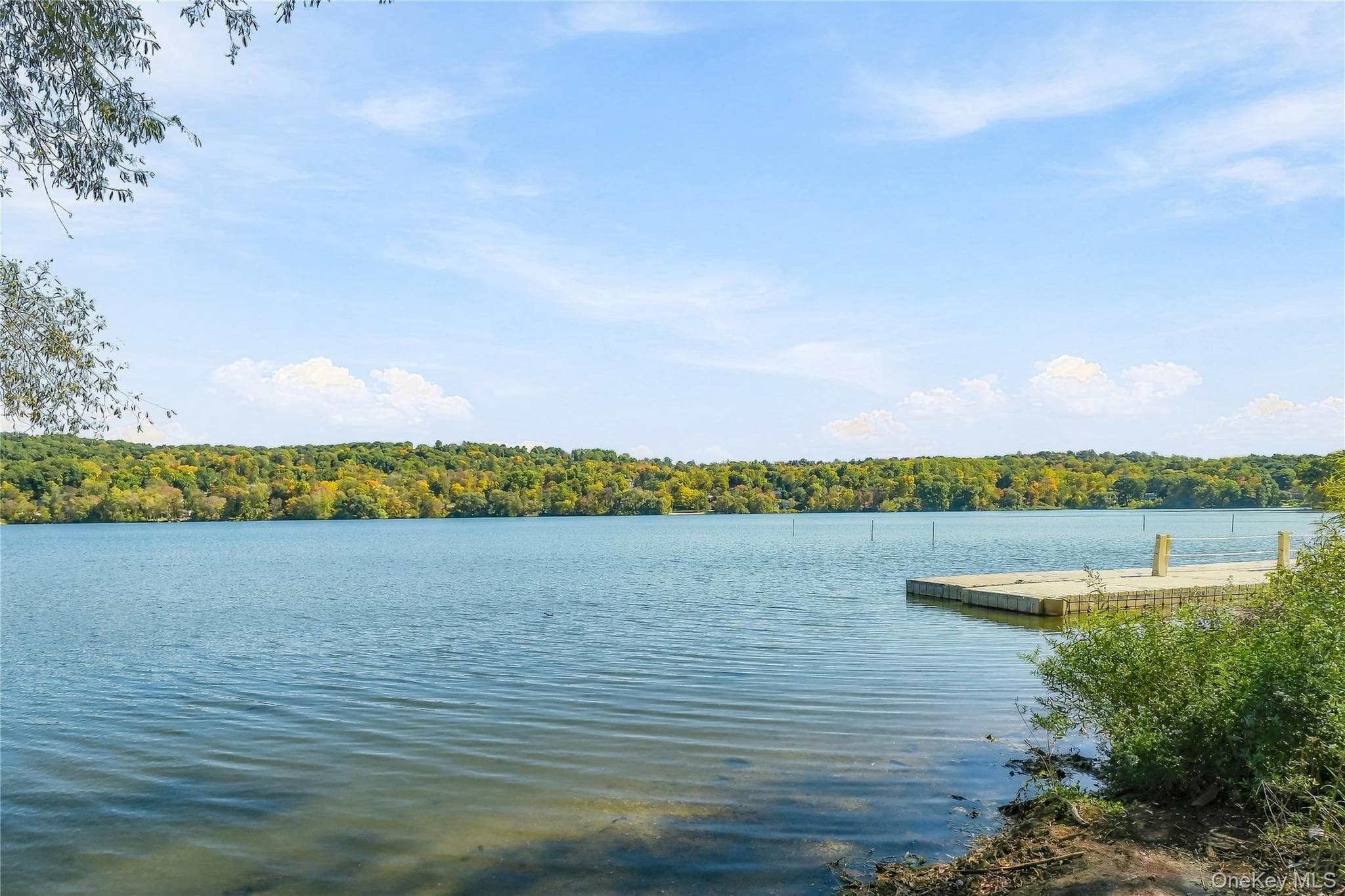 34 Rutland Drive thumbnail 49