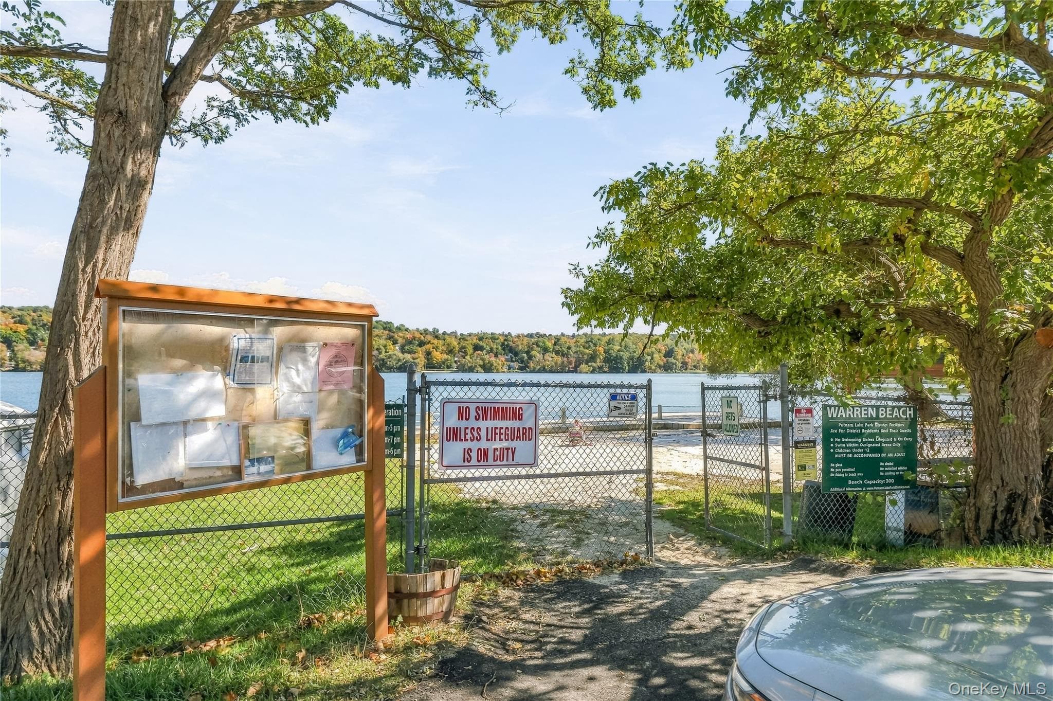 34 Rutland Drive thumbnail 47