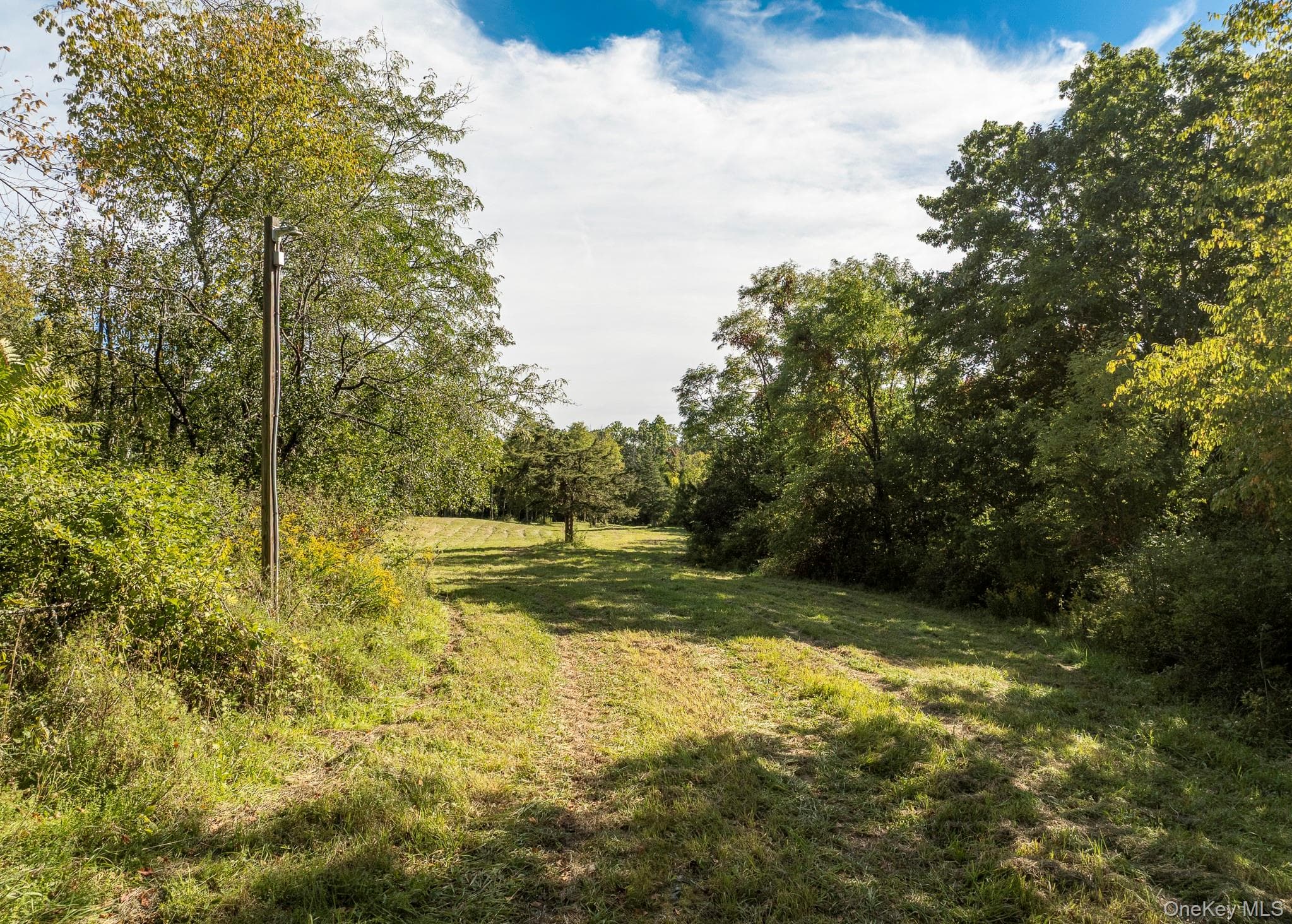 544 Willow Brook Road thumbnail 24
