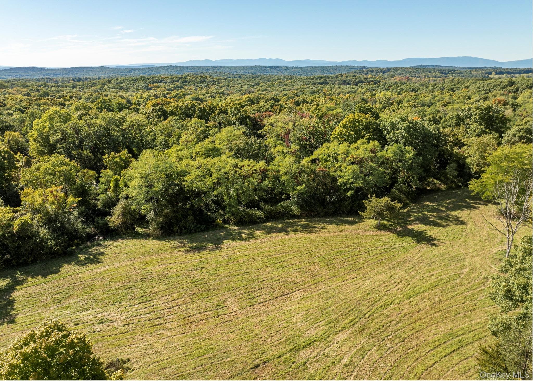 544 Willow Brook Road thumbnail 26