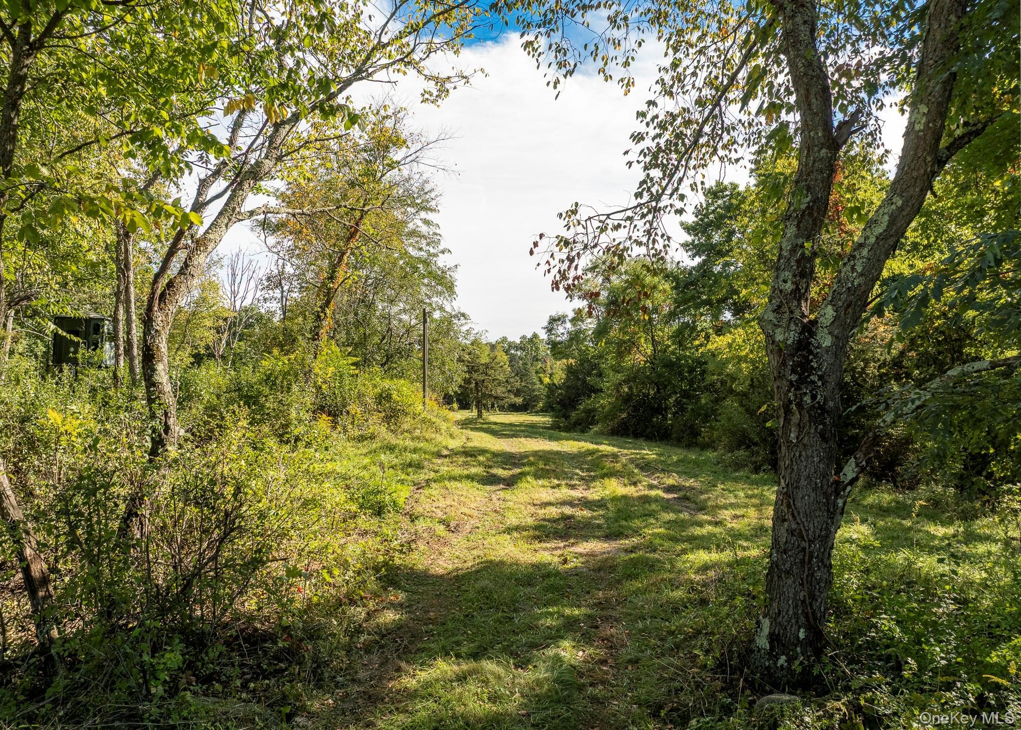 544 Willow Brook Road thumbnail 23