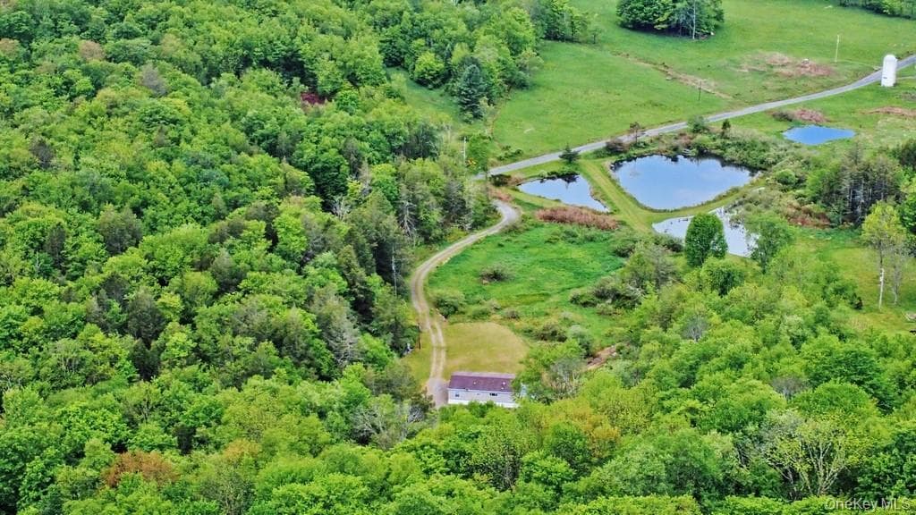 308 William Brown Road thumbnail 7