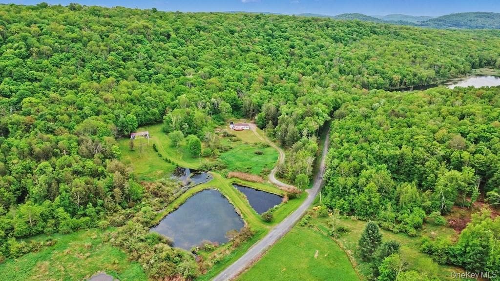308 William Brown Road thumbnail 5