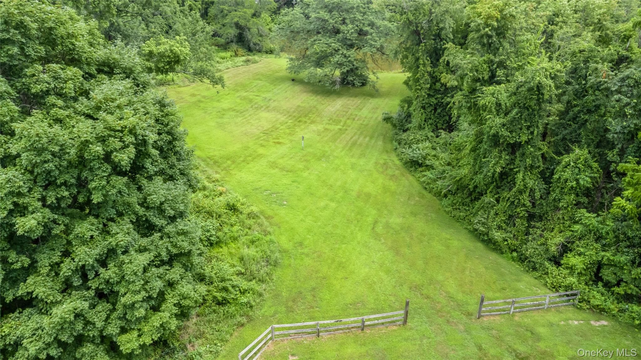 93 Widmer Road thumbnail 44