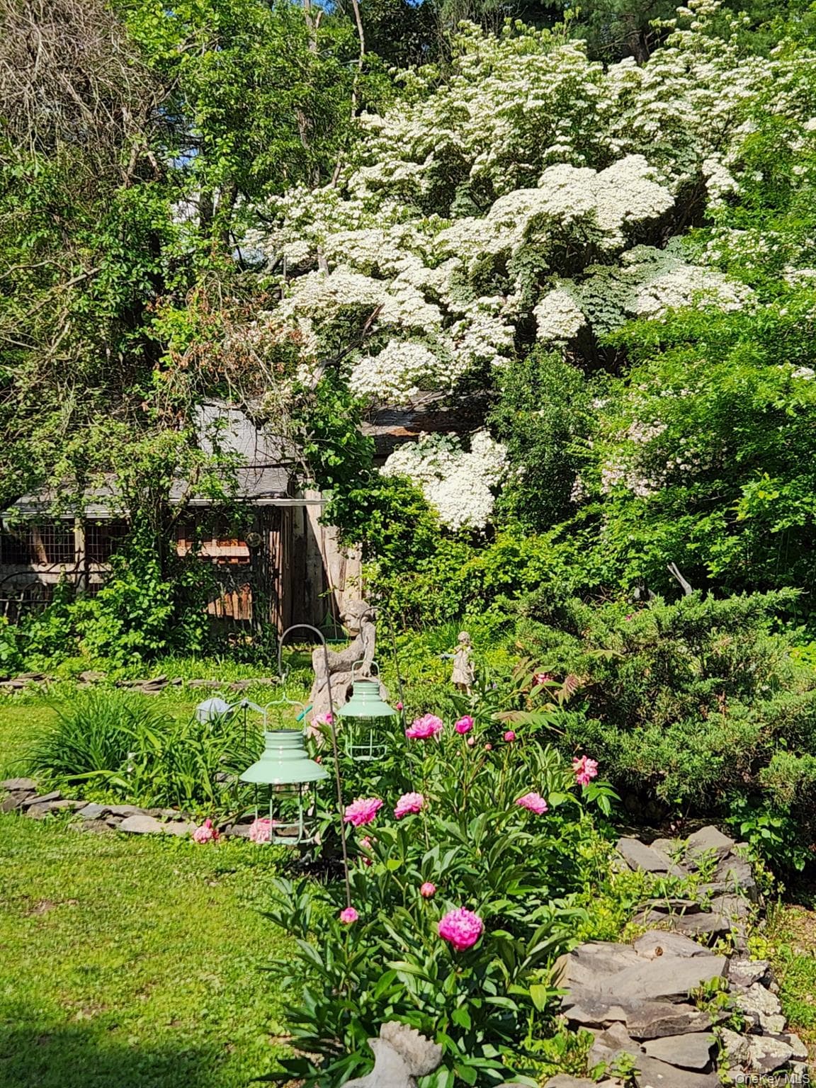 93 Widmer Road thumbnail 40