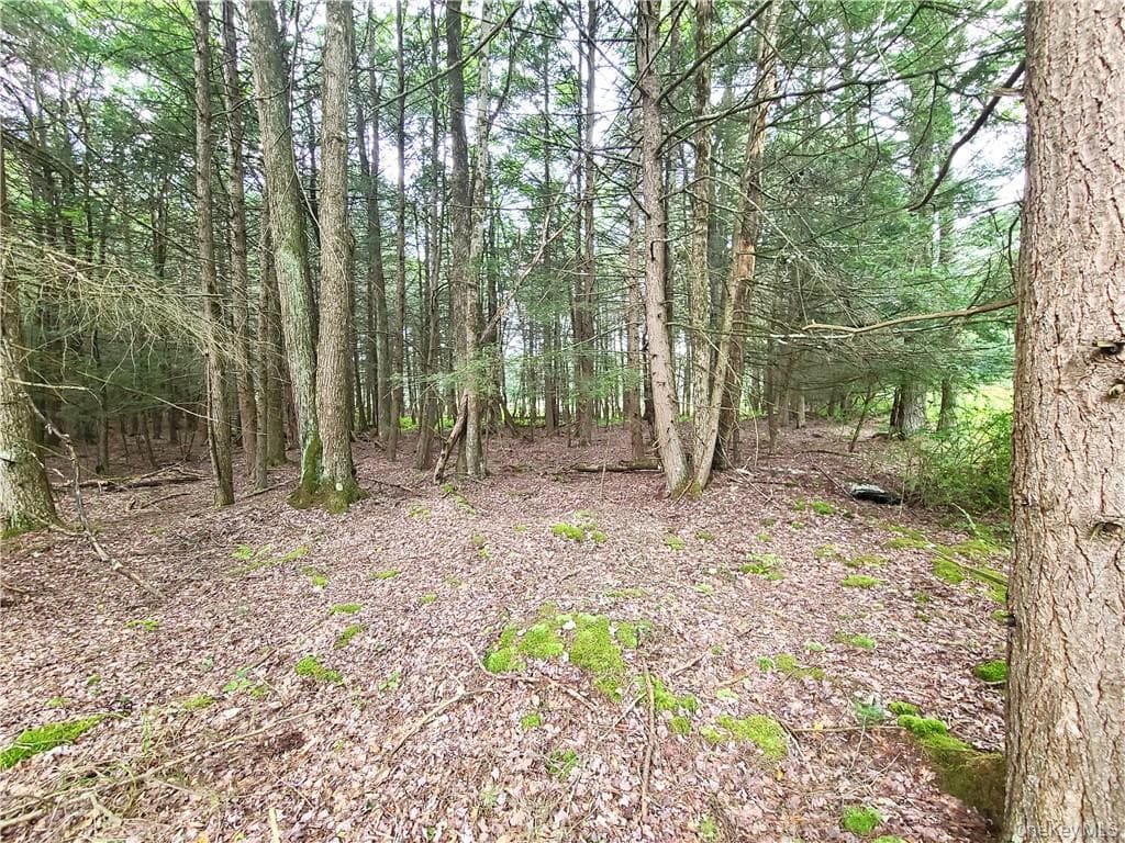 Lot 23 Deer Meadow Road thumbnail 26