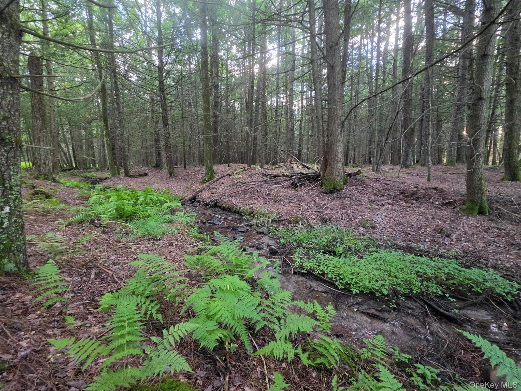 Lot 23 Deer Meadow Road thumbnail 41
