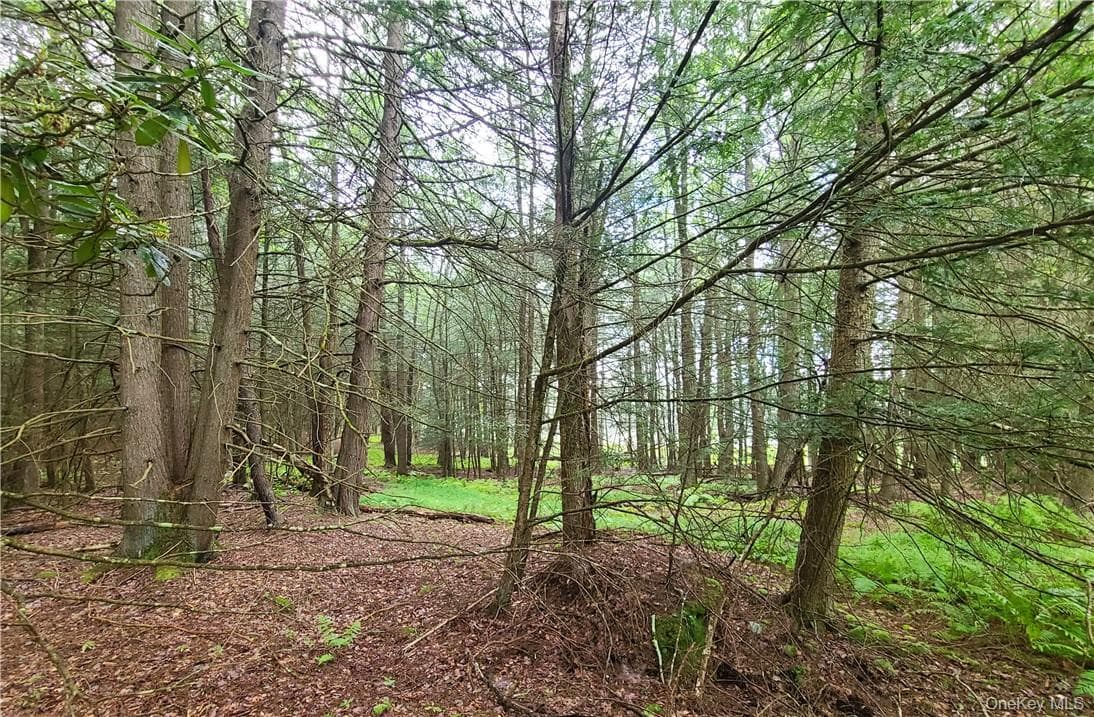 Lot 23 Deer Meadow Road thumbnail 10