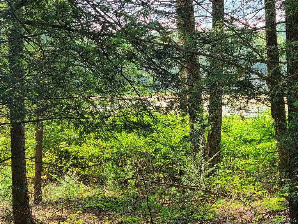 Lot 23 Deer Meadow Road thumbnail 28