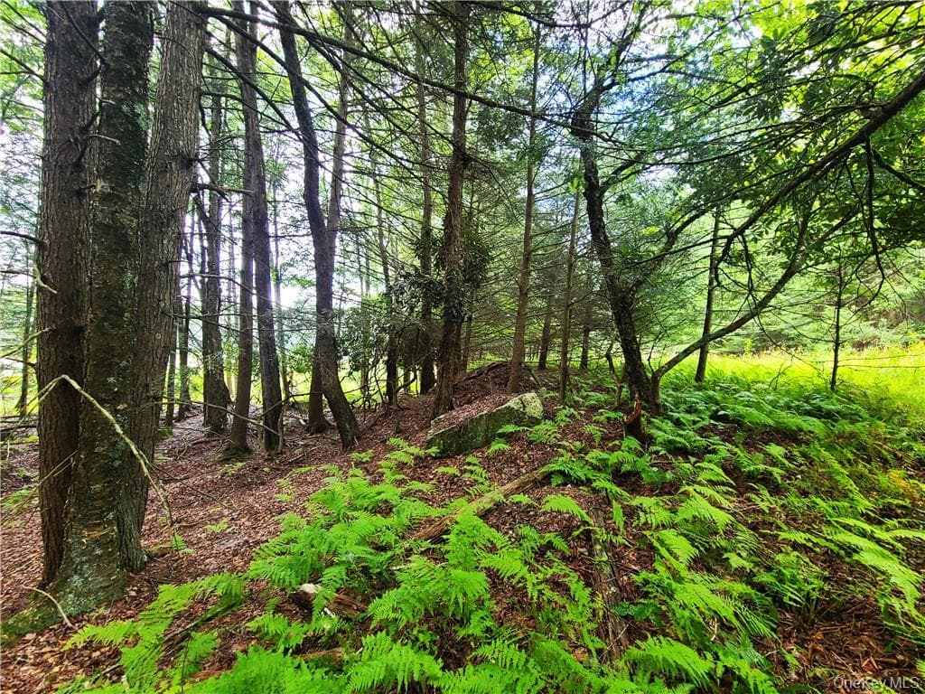 Lot 23 Deer Meadow Road thumbnail 18