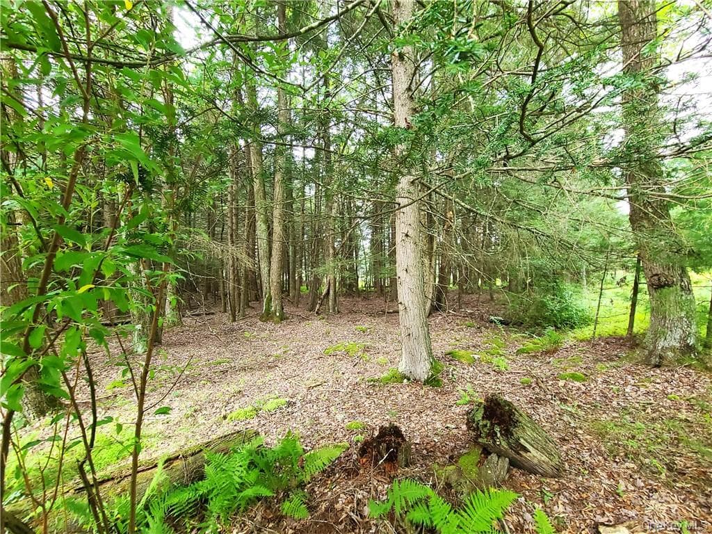 Lot 23 Deer Meadow Road thumbnail 21