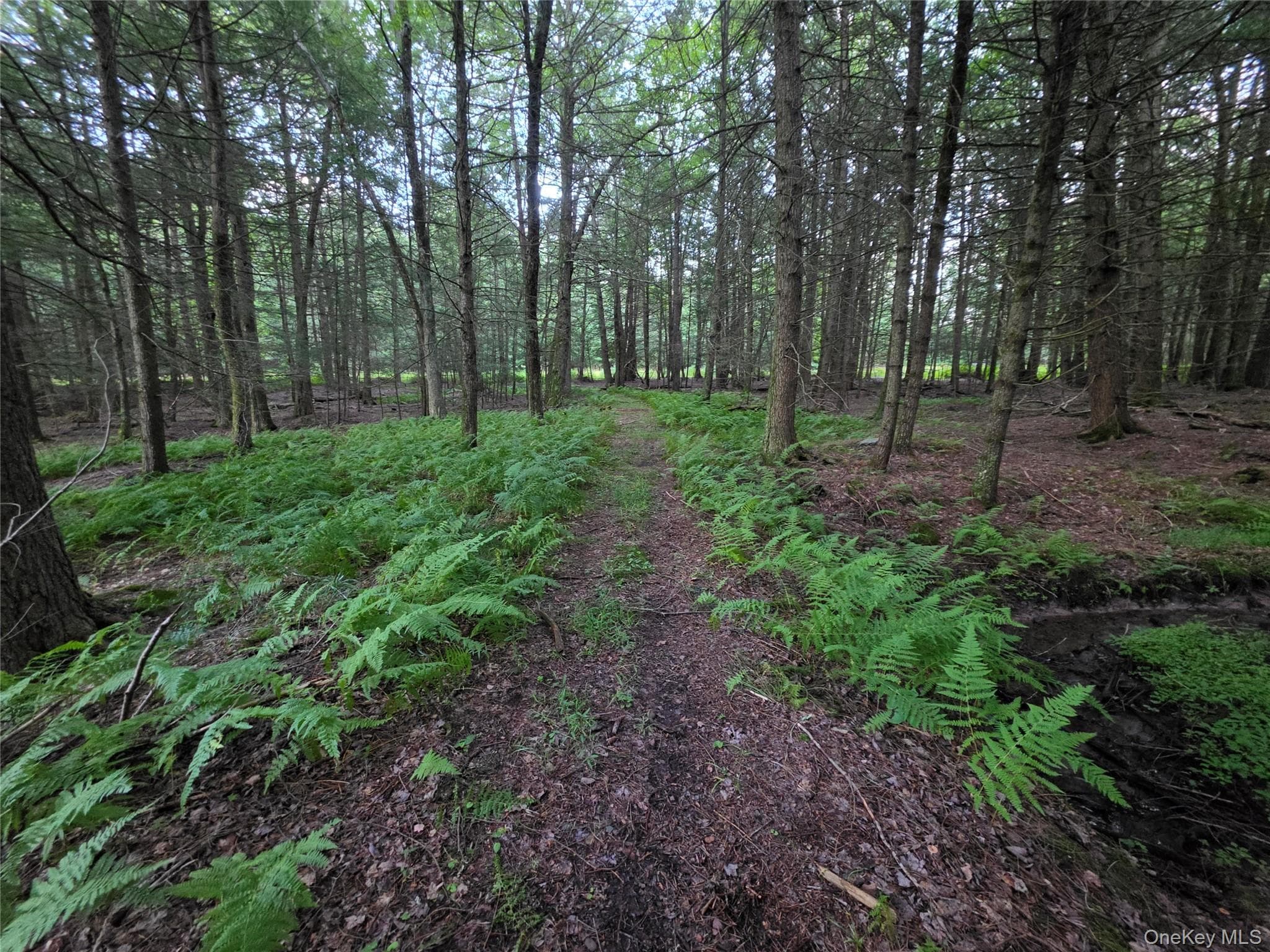 Lot 23 Deer Meadow Road thumbnail 44