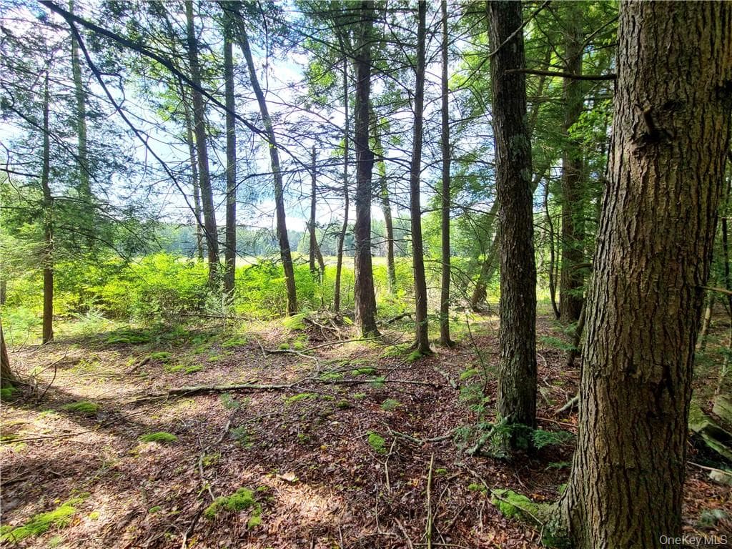 Lot 23 Deer Meadow Road thumbnail 25