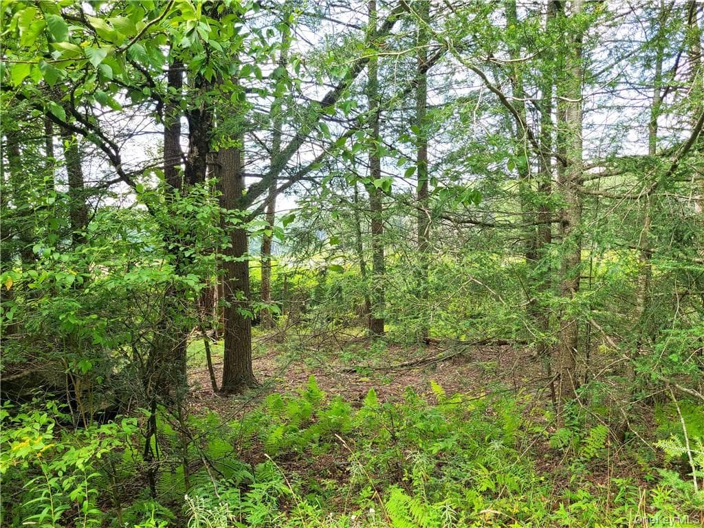 Lot 23 Deer Meadow Road thumbnail 20