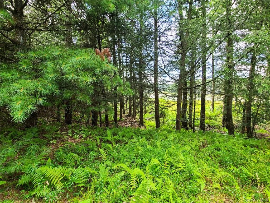 Lot 23 Deer Meadow Road thumbnail 24