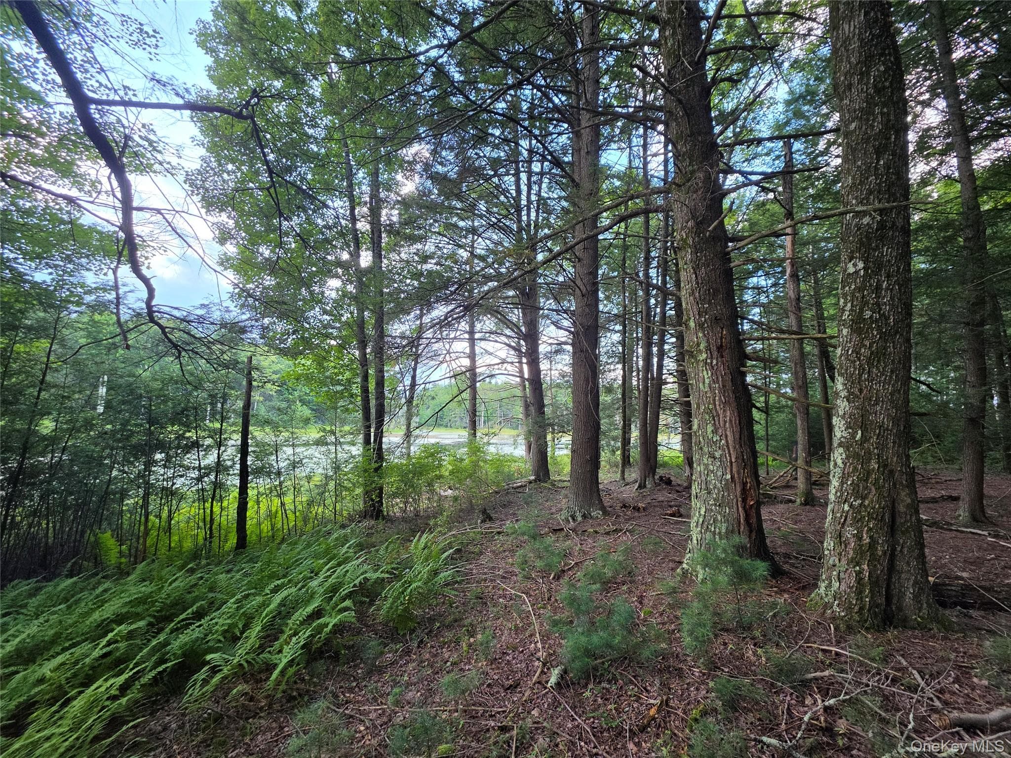 Lot 23 Deer Meadow Road thumbnail 43