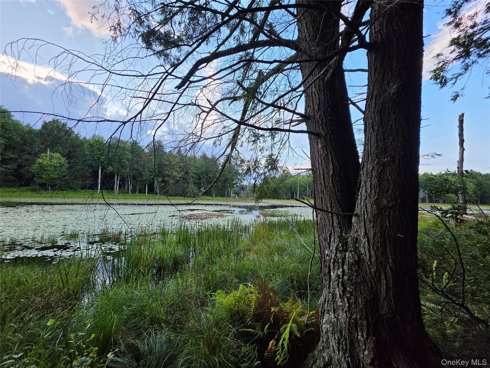 Lot 23 Deer Meadow Road thumbnail 42
