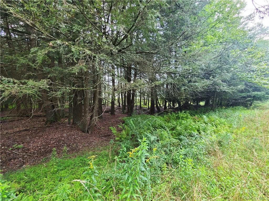 Lot 23 Deer Meadow Road thumbnail 11