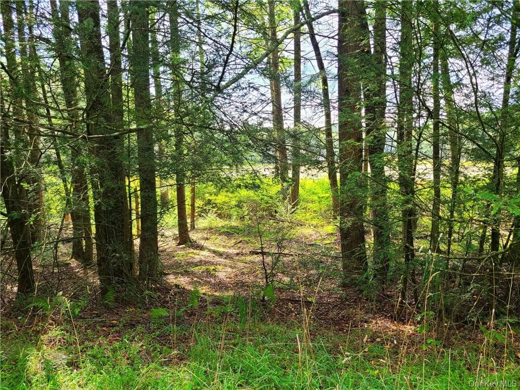 Lot 23 Deer Meadow Road thumbnail 19