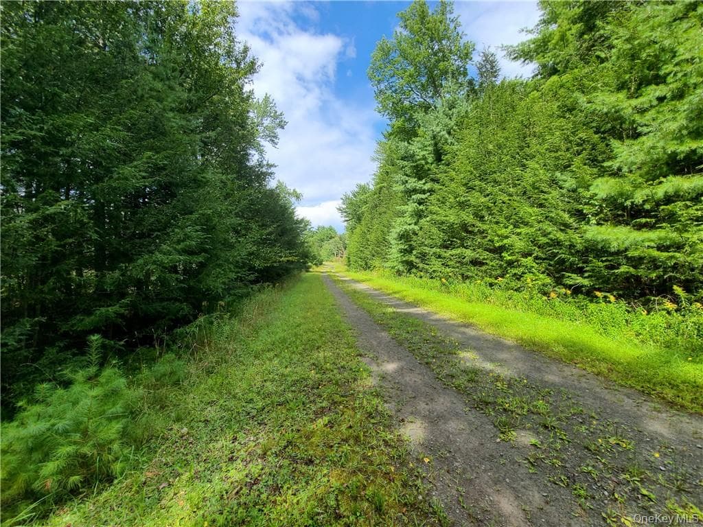 Lot 23 Deer Meadow Road thumbnail 30