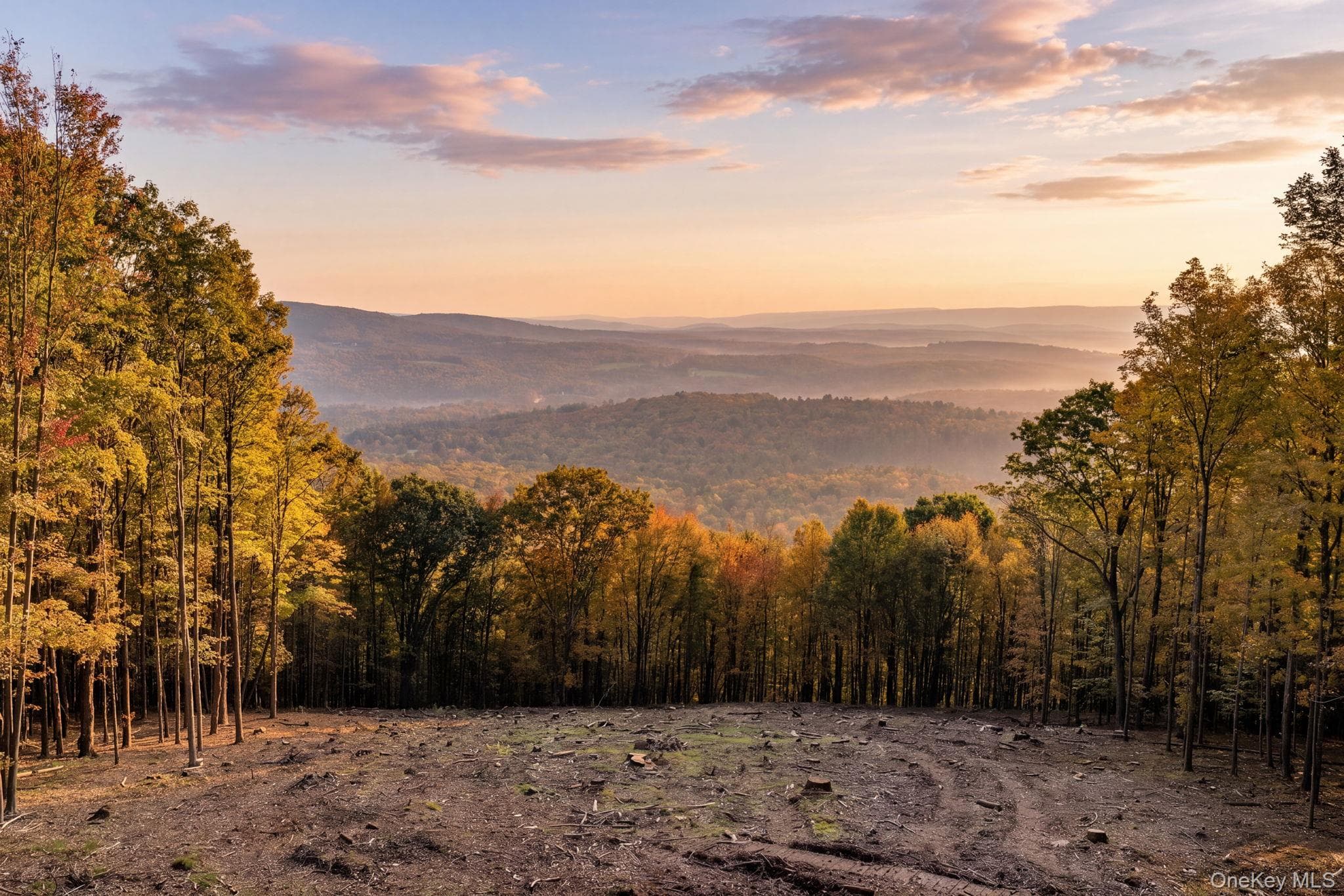 114 Skyline Drive photo 1