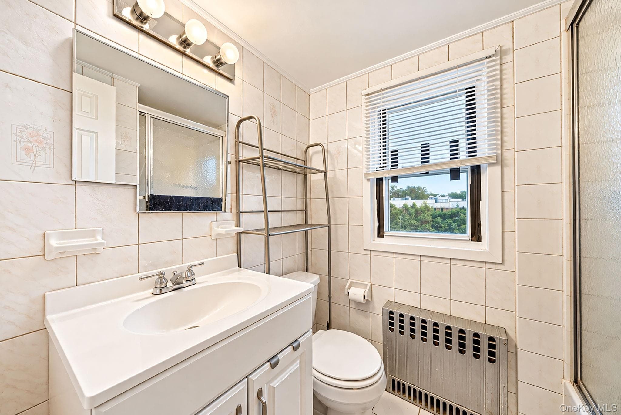 9 Cortelyou Street thumbnail 35