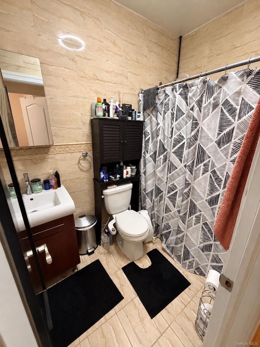 662 E 52nd Street thumbnail 5