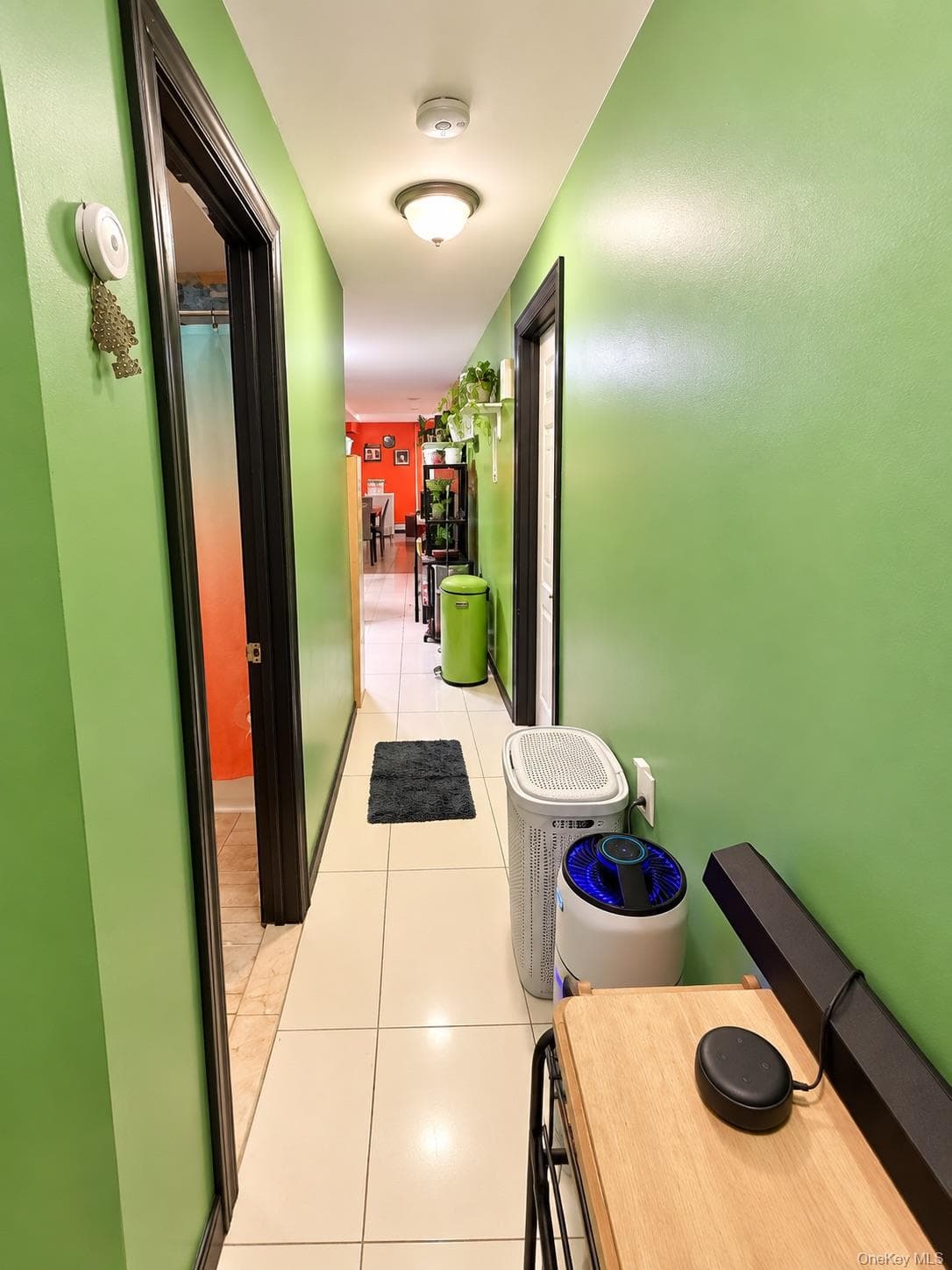 662 E 52nd Street thumbnail 16