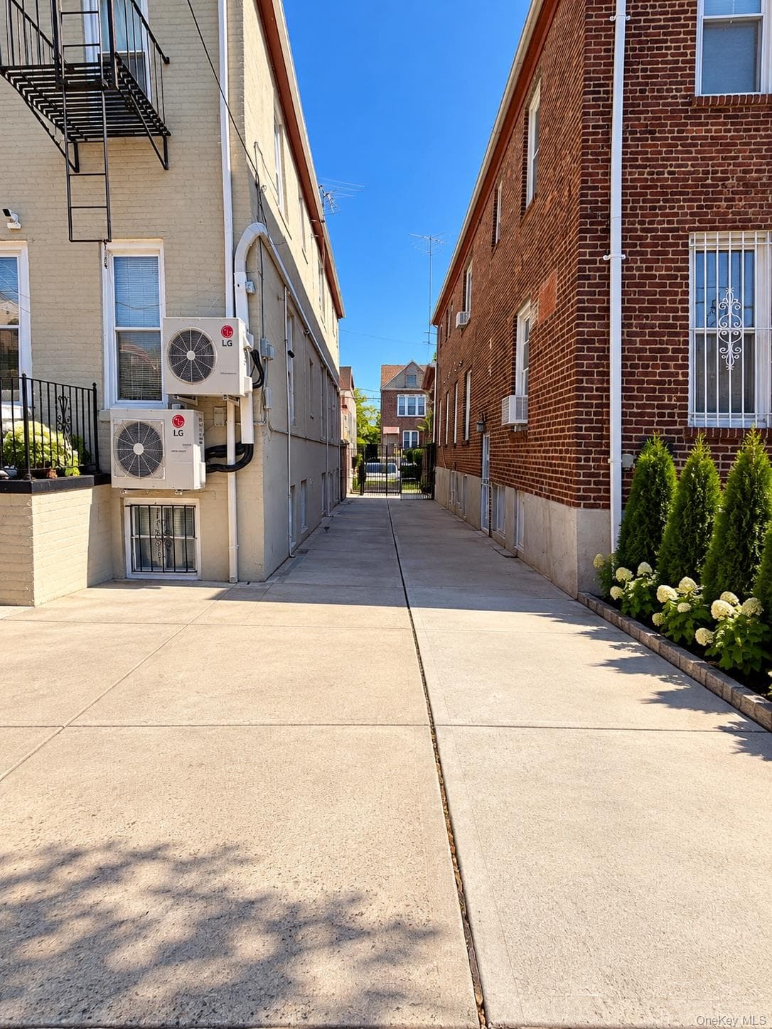 662 E 52nd Street thumbnail 24