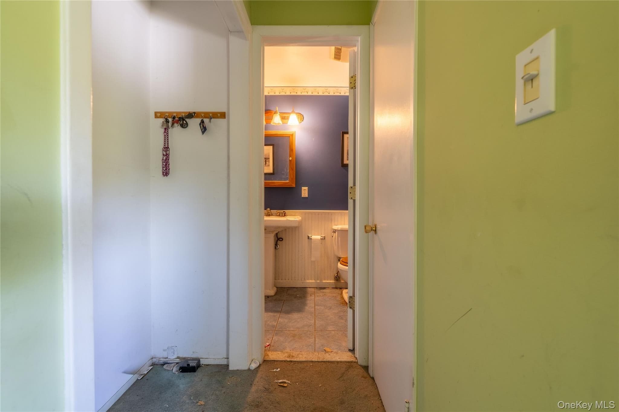 4 Walnut Court thumbnail 24