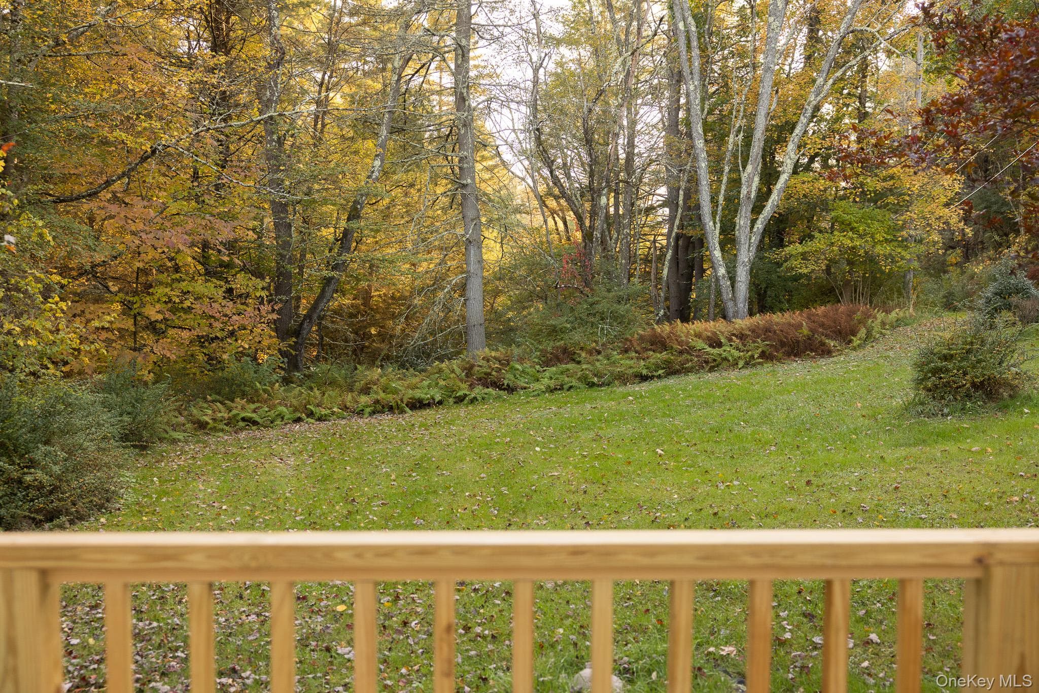 433 County Road 116 thumbnail 41
