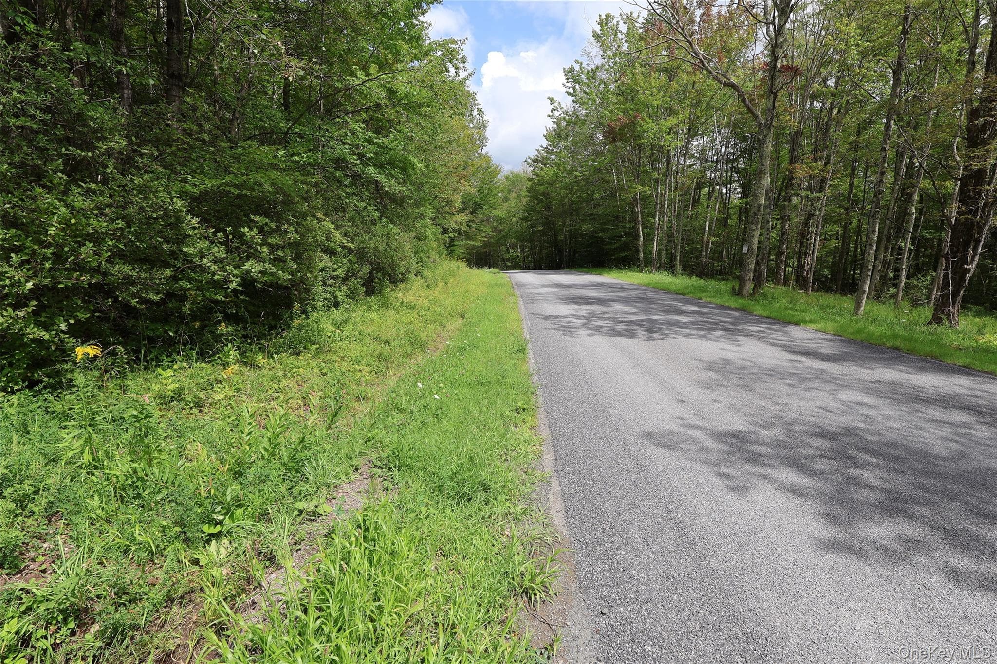 7401 Millbrook Road thumbnail 6