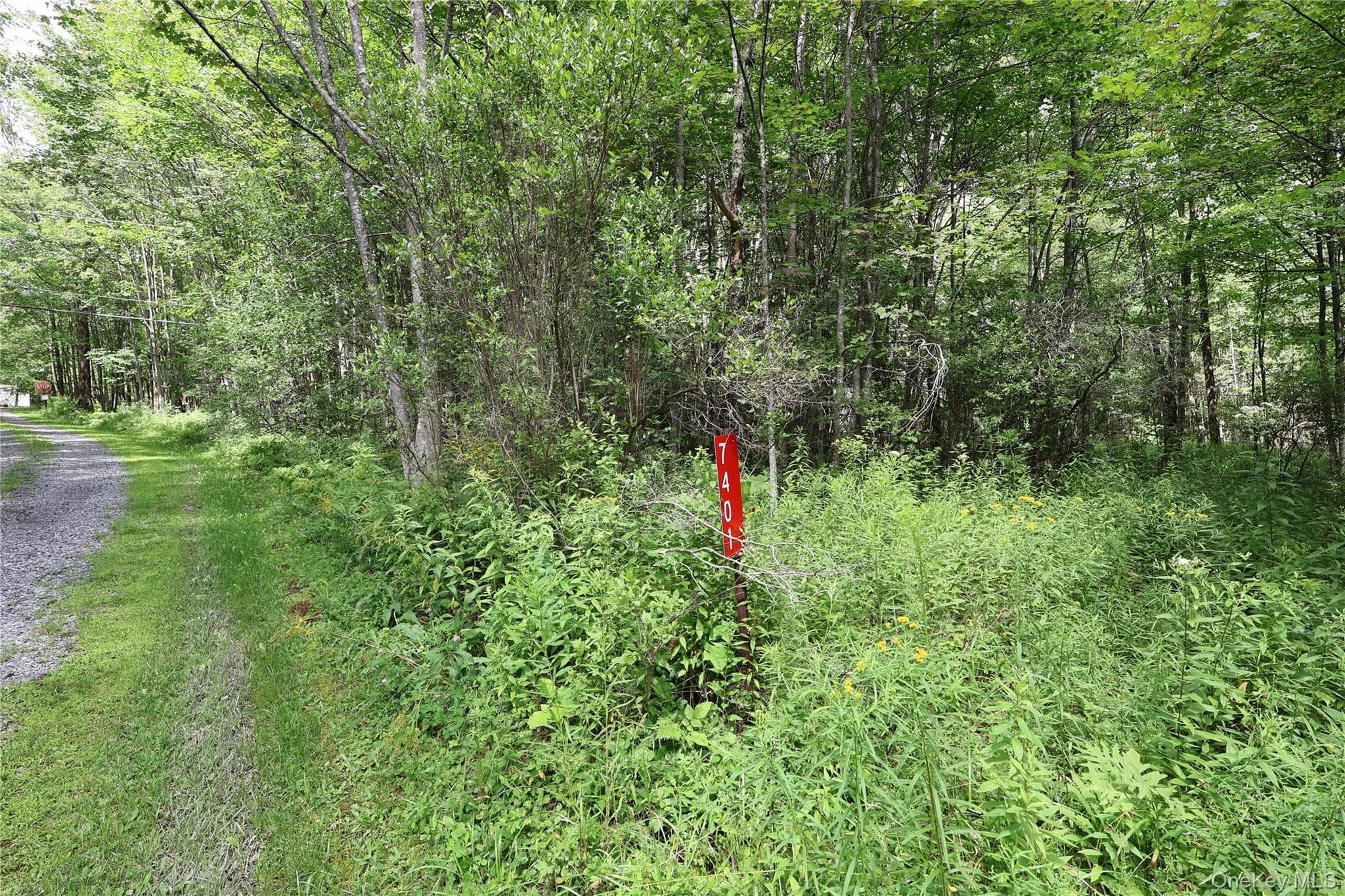 7401 Millbrook Road photo 1