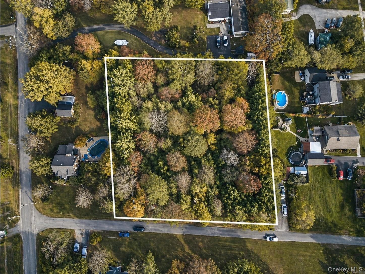 3 Patterson Avenue thumbnail 3