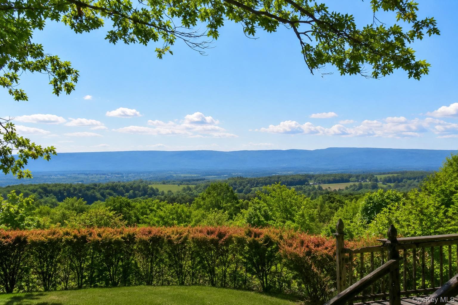98 Fox Hill Road thumbnail 2