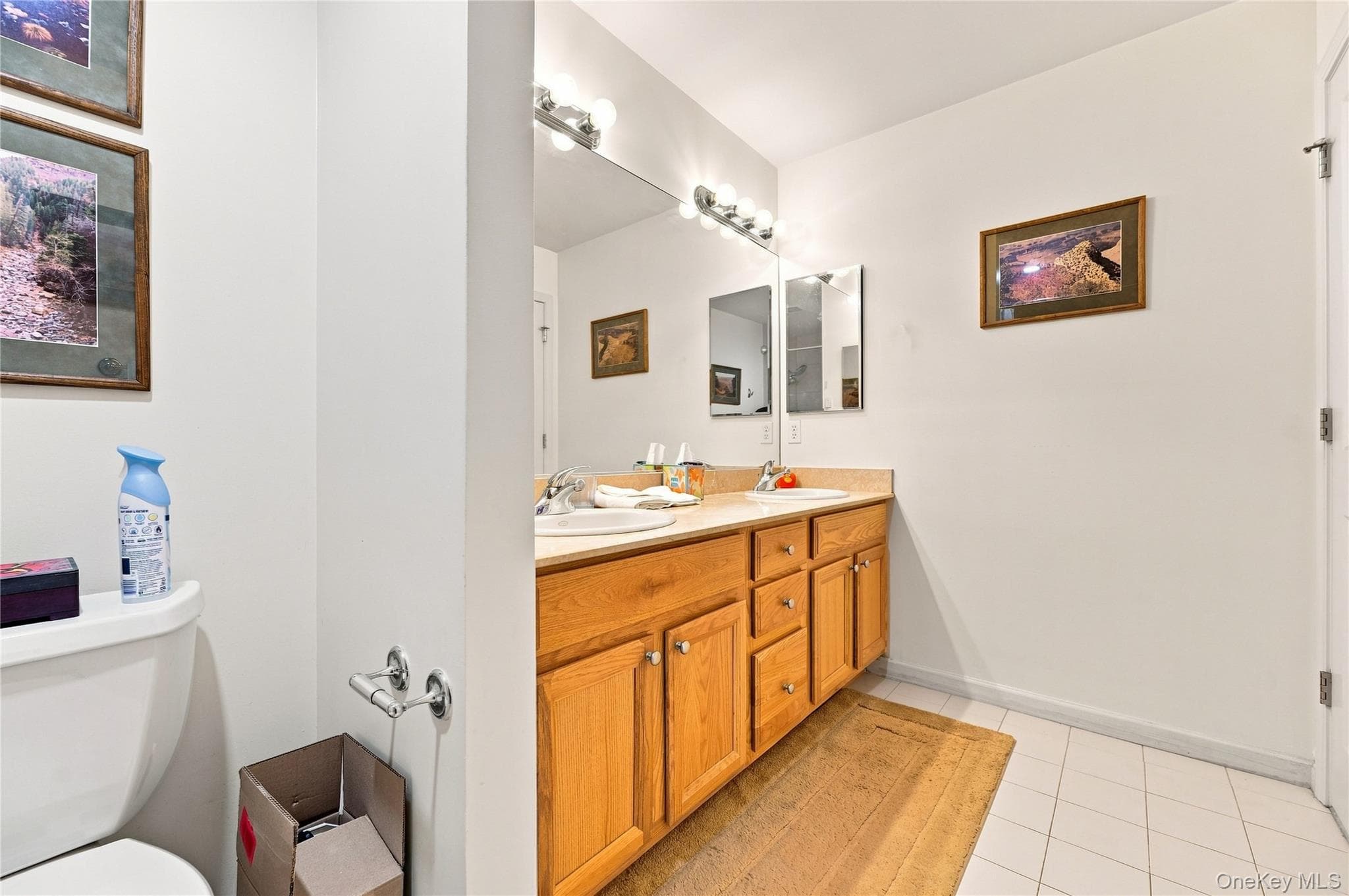 308 Bridgeview Drive thumbnail 30