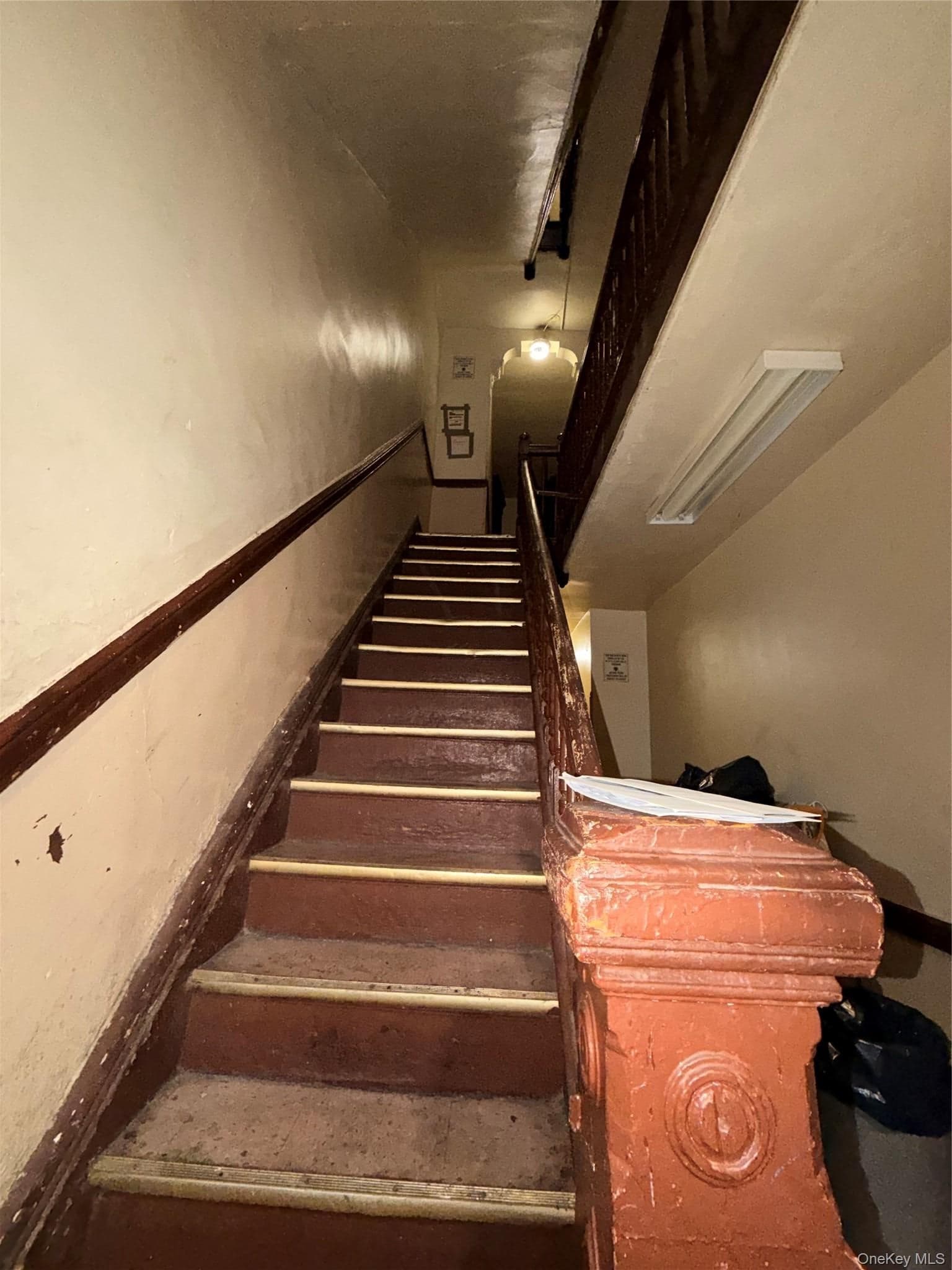 278 Chauncey Street thumbnail 8
