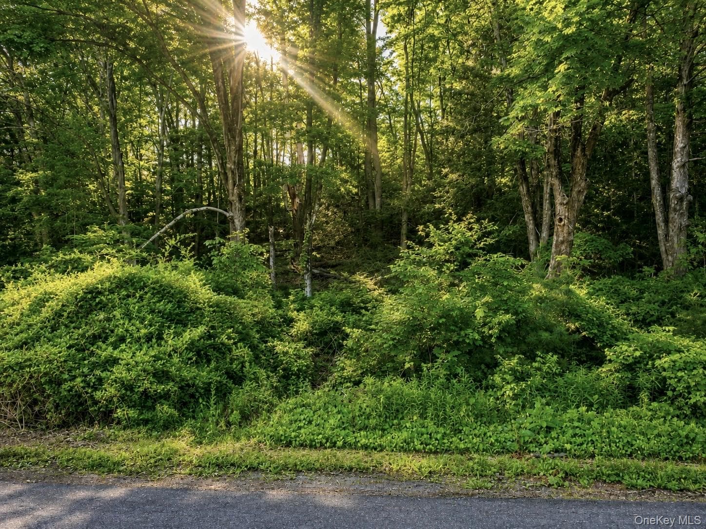20 Wintergreen Hill Road thumbnail 9