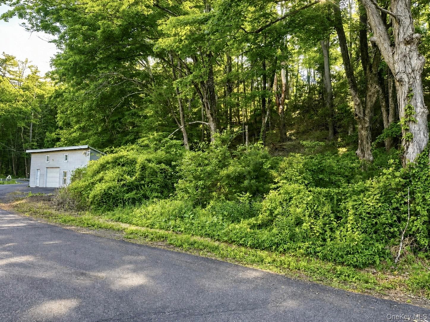 20 Wintergreen Hill Road thumbnail 10
