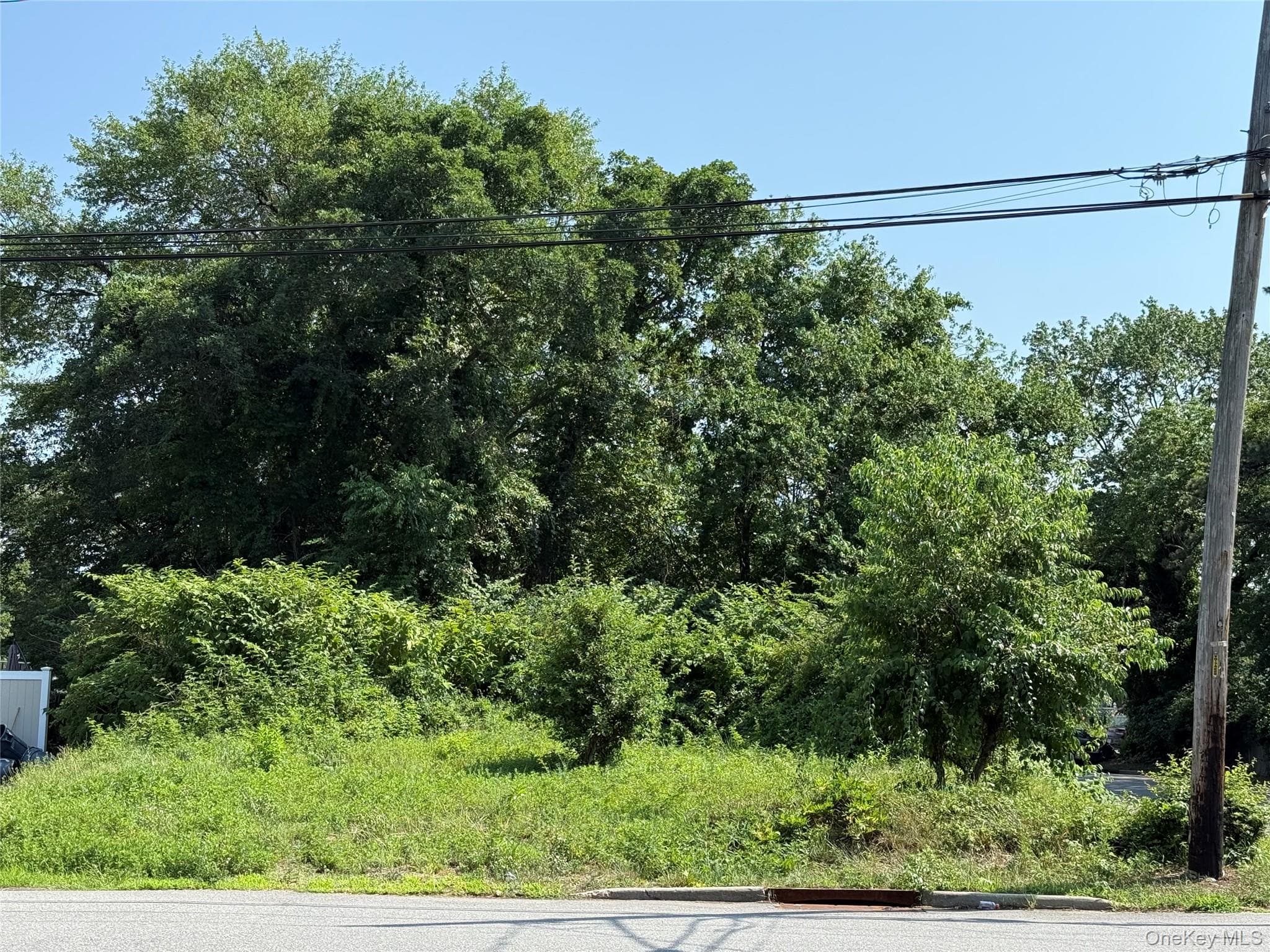 51 Lake Drive photo 1