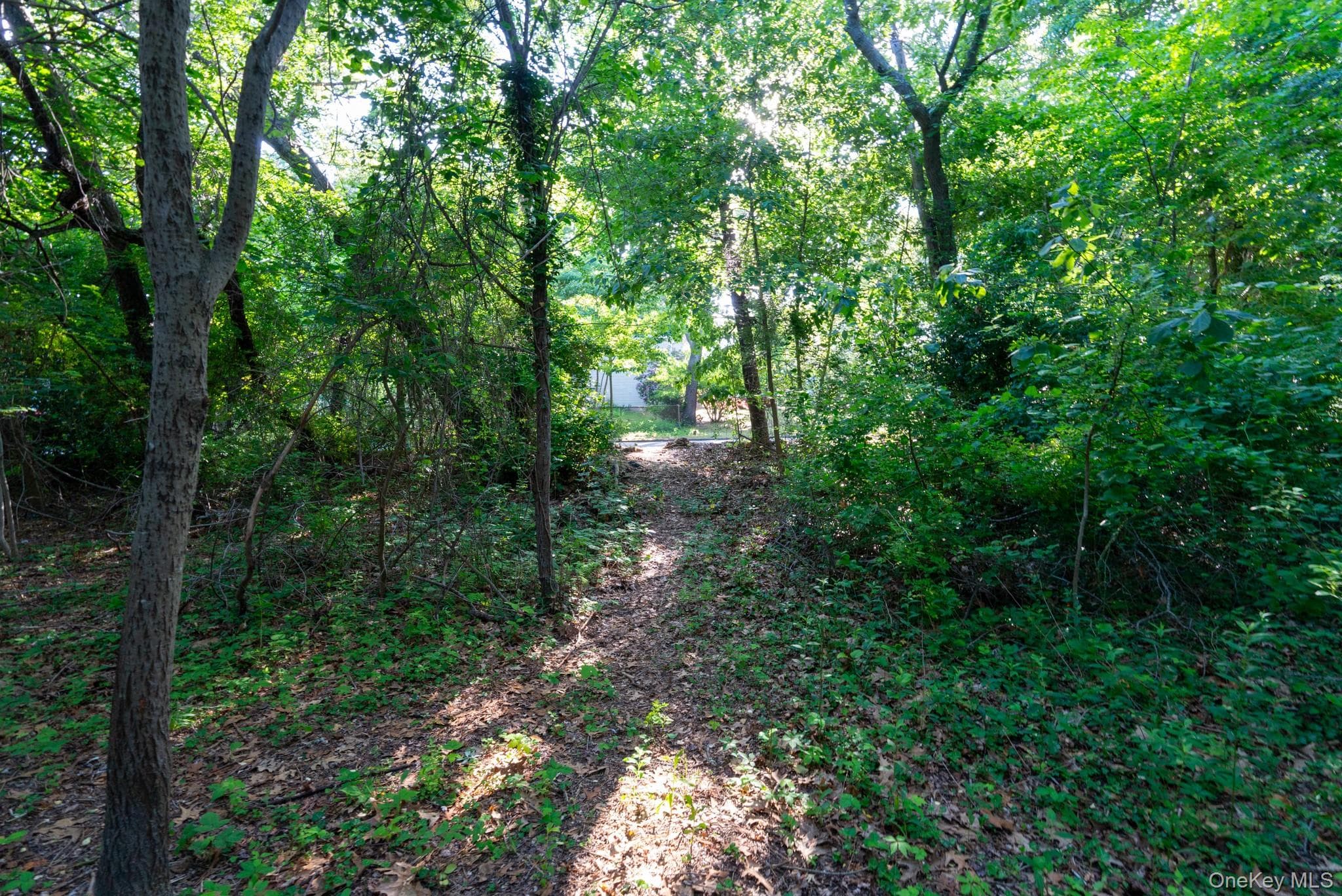 357 Smithtown Boulevard thumbnail 42