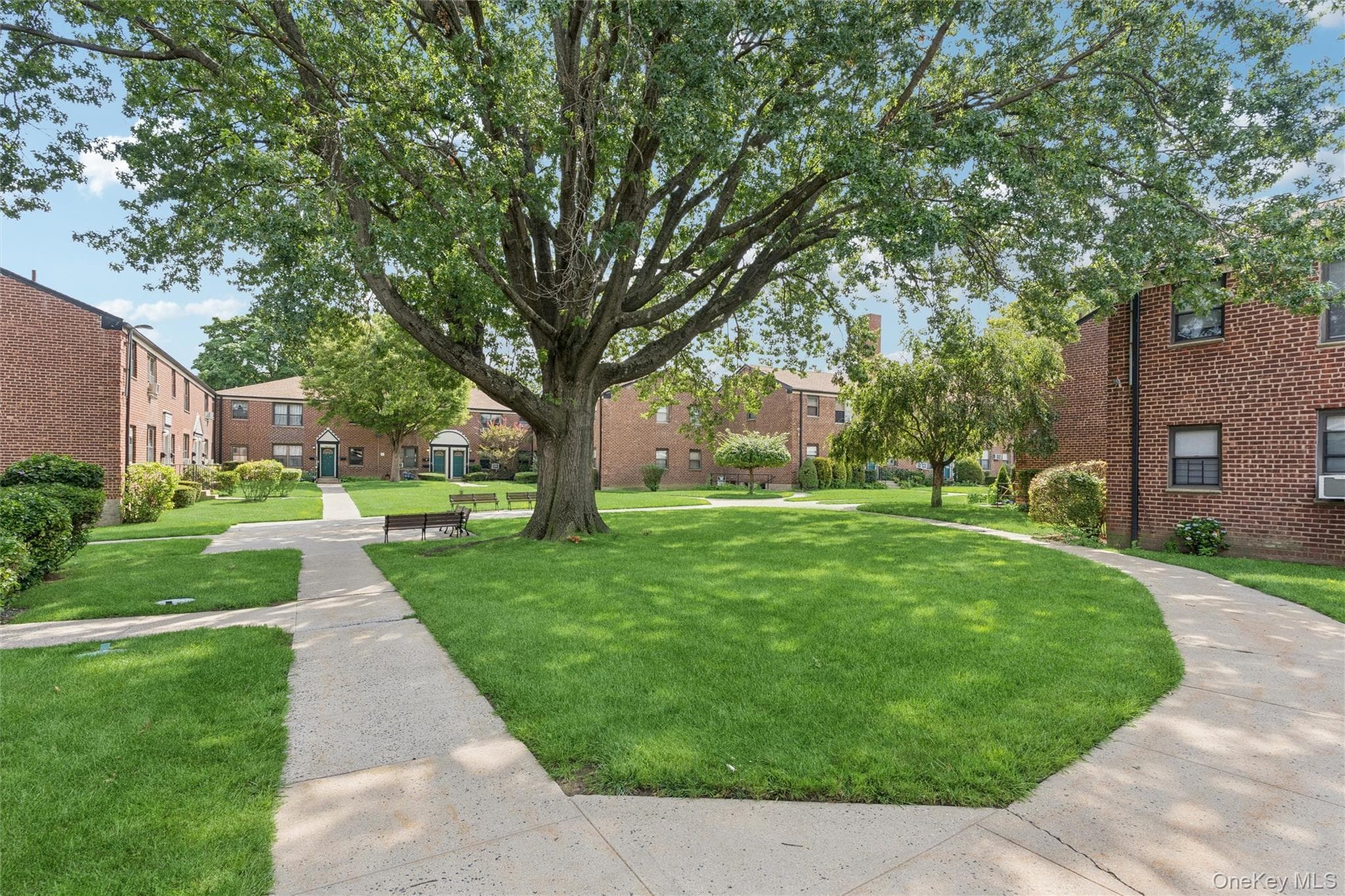 196-29 69th Ave Ave Unit: #1st Fl thumbnail 13