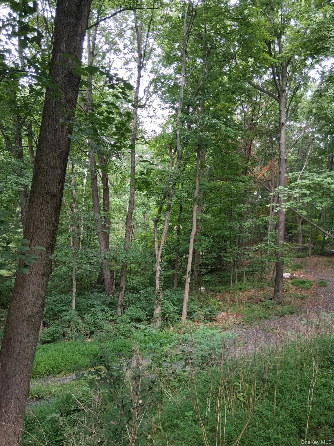 Museum Village Road, Monroe