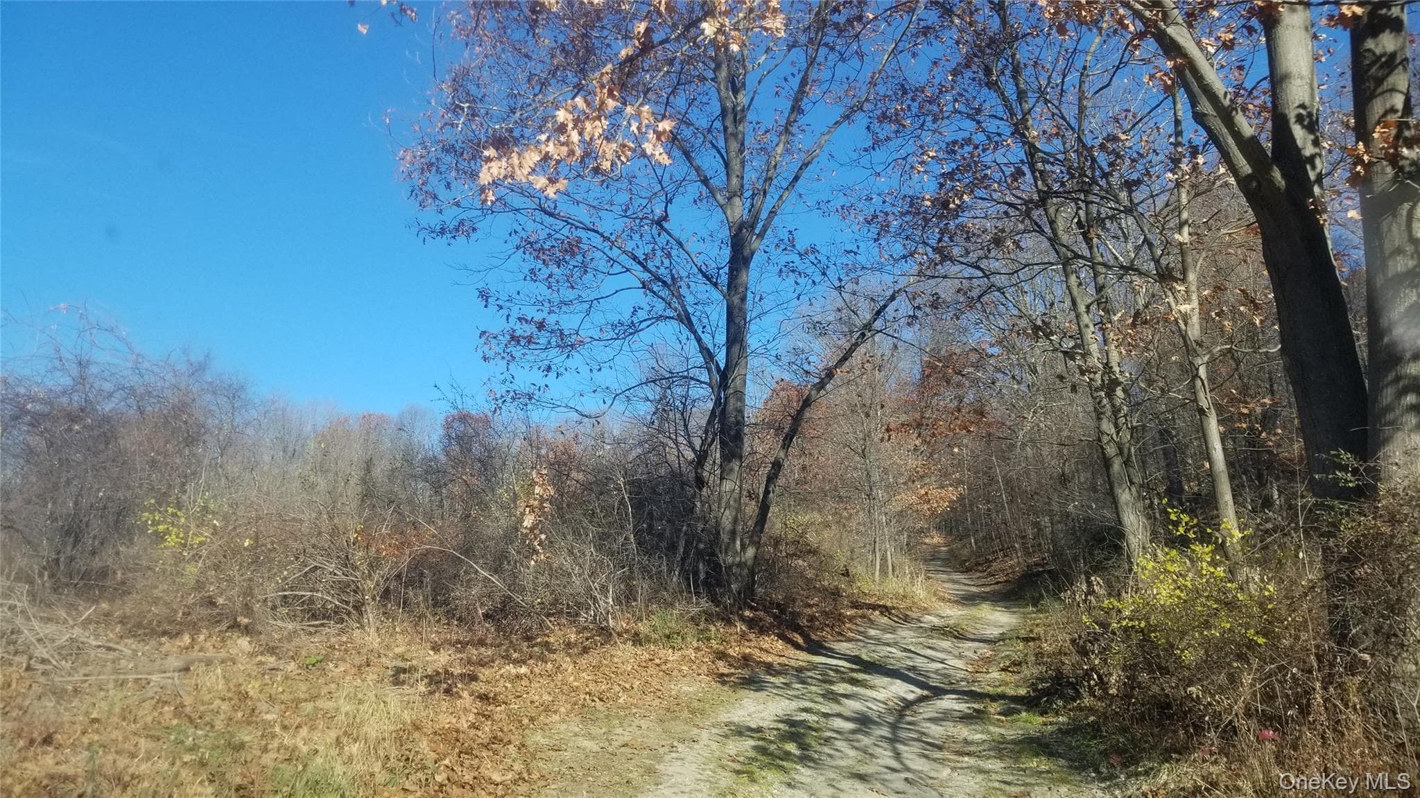 234 State Line Road thumbnail 12