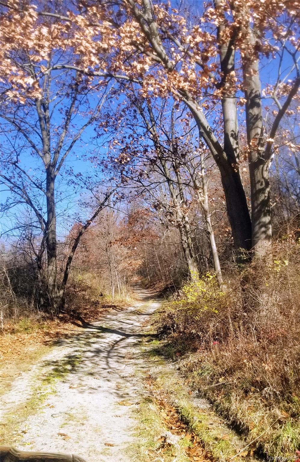 234 State Line Road thumbnail 11