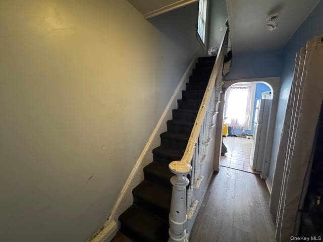 117 Renwick Street thumbnail 19