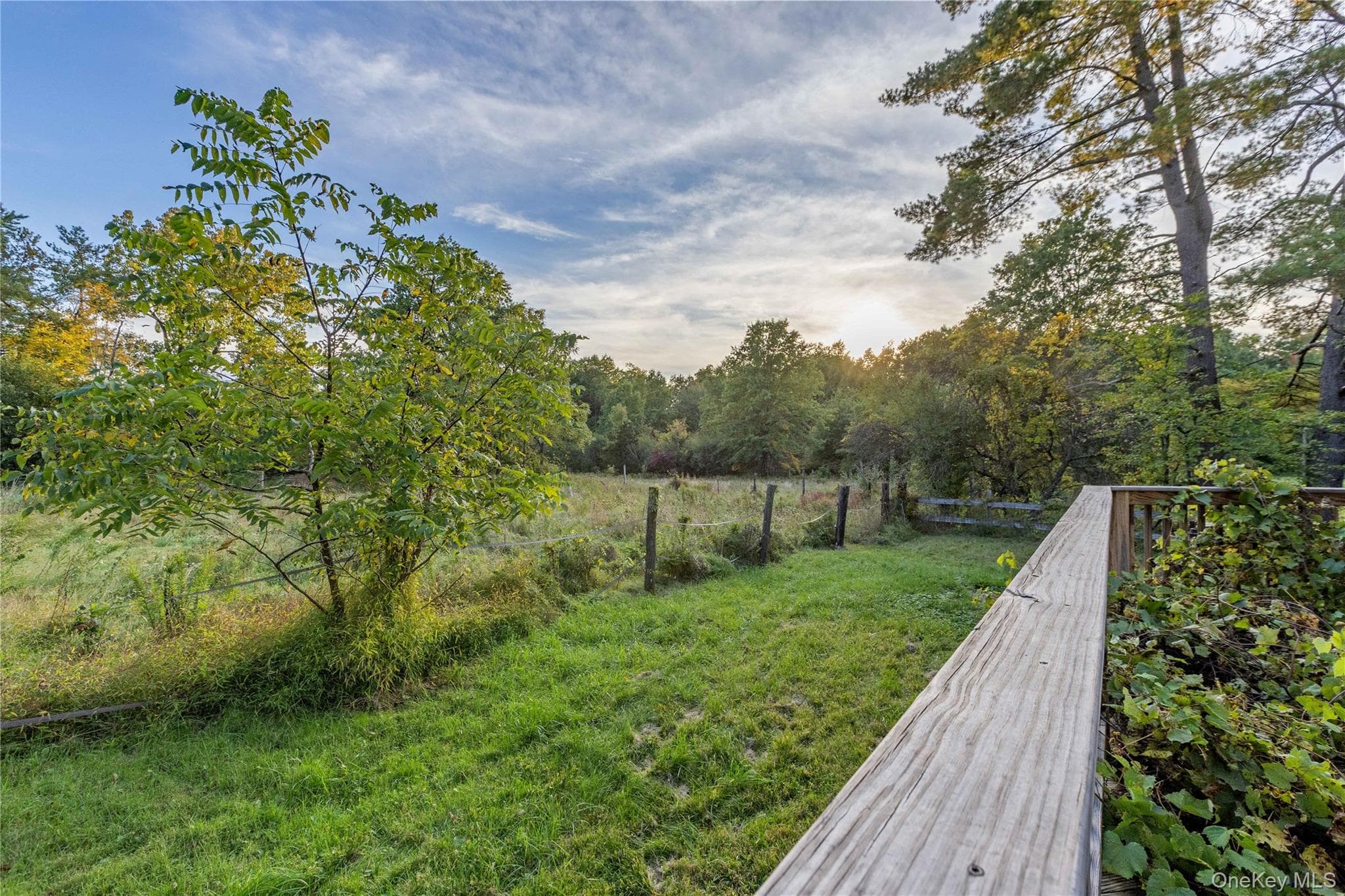 64 North Road thumbnail 15