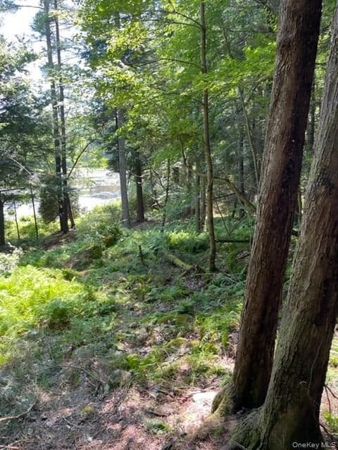 Lot 92 Mathias Weiden Drive thumbnail 6